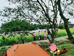 -长洲岛都市农业公园
