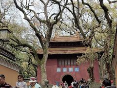 -普陀山风景名胜区-法雨禅寺