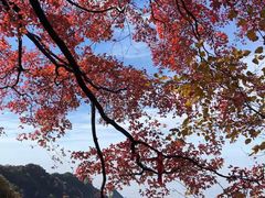 -少华山国家森林公园