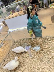 -小象动悟公园(龙湖亦庄天街店)