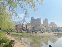 -堤角公园