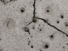 -东寨港红树林旅游区