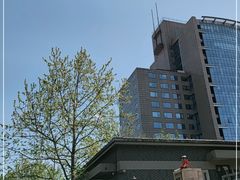 -魏家凉皮(十里河店)