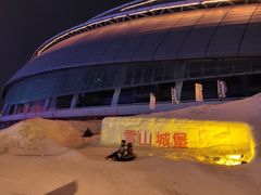 -沈阳奥体冰雪嘉年华