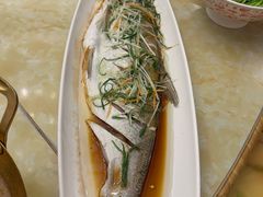 -安庆碧桂园凤凰酒店-维也纳餐厅