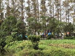 -前小桔亲子创意农场·草莓采摘·露营烧烤