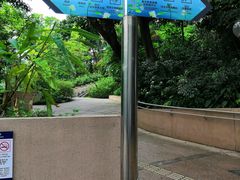 -九龙公园