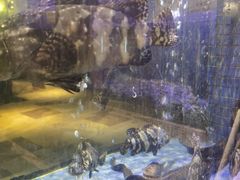 -珍宝轩海鲜火锅(碧湖大厦店)