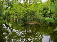 -上海滨江森林公园