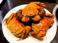 -金陵饭店-56JIA Restaurant家餐厅