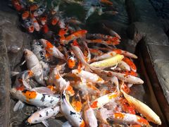 -海合安青岛极地海洋公园