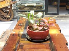 -苹果树下艺术餐厅(宋庄店)