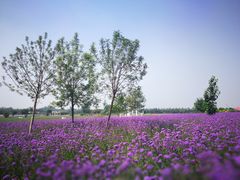 -渔岛海洋度假区