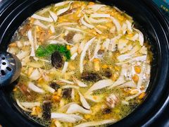 野生菌火锅-菌海森林·非遗野生菌火锅(西山区滇池路摩根道店)
