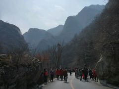 -陕西省红河谷森林公园