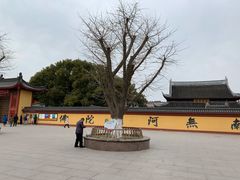 -上海东林寺(金山区)