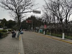 -秋霞圃