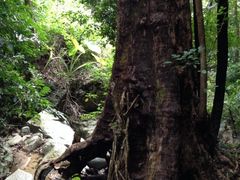 iphone_upload_pic-七仙岭温泉国家森林公园