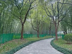 -黄兴公园