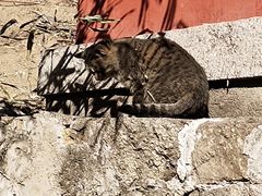-天津盘山风景名胜区
