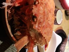 -蟹将军·松叶蟹和牛日料放题自助(K11店)