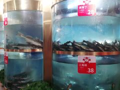 -蜀滋香鲜鱼美蛙火锅(339店)