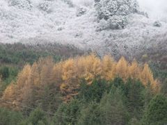 -硗碛藏寨·神木垒景区