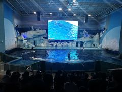 -福州罗源湾海洋世界旅游区