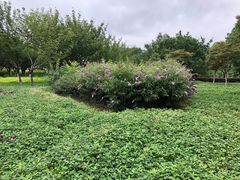 -白塘生态植物园