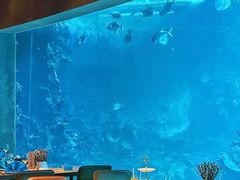 -涛·海底餐厅·美人鱼·自助餐·海底隧道(三亚海棠湾洲际度假酒店)
