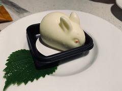 酸奶兔子-海底捞火锅(高科广场店)