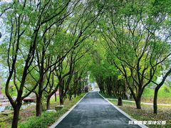 -同里国家湿地公园