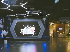 -中国宋庆龄青少年科技文化交流中心