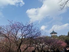 -无锡梅园公园