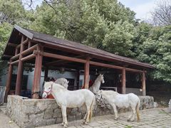 -白马涧龙池景区