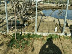 -河北村民俗体验园