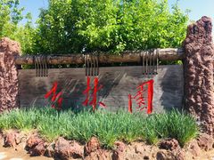 -武清南湖绿博园