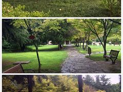 -西安交通大学(雁塔校区)