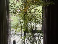 -王府茶楼茶宴·创意菜(大观园总店)