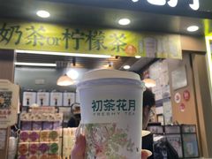 -初茶花月·重庆特产(大融城店)