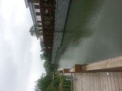 -上海浦东康桥绿地假日酒店