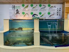 水产区-屯老二农家铁锅炖·行业领军者(梅江店)