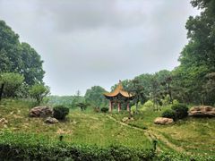 -河南省黄河迎宾馆