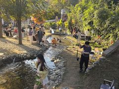 -HERRE·FARM 赫尔露营农场·团建聚会包场