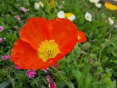 -森居forest休闲咖啡聚集地