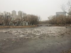 -青城公园