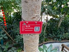 -郑州植物园