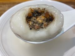 -海丝金凤(金鱼店)