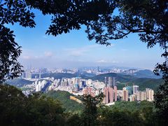 -梧桐山风景名胜区