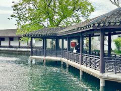 -无锡蠡湖国家湿地公园-蠡园